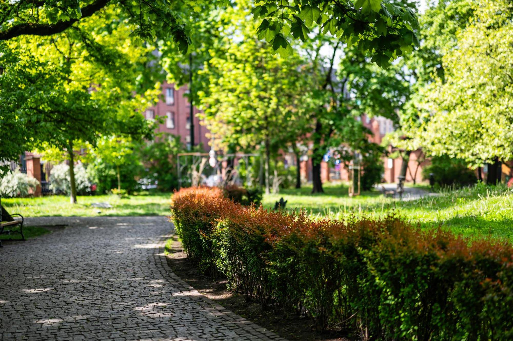 Rimini Moxy Te&Am Cracow Lägenhet Kraków Exteriör bild